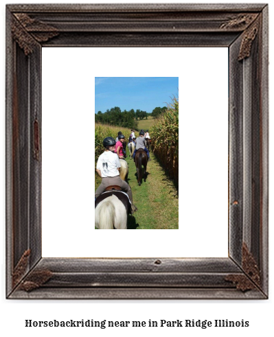 horseback riding near me in Park Ridge, Illinois